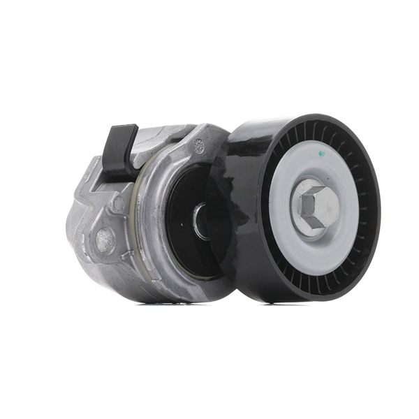 RIDEX 310T0382 Feszítőgörgő, hosszbordás szíj Feszítőgörgő, hosszbordás szíj 1754054L00 RIDEX 310T0382 SUZUKI