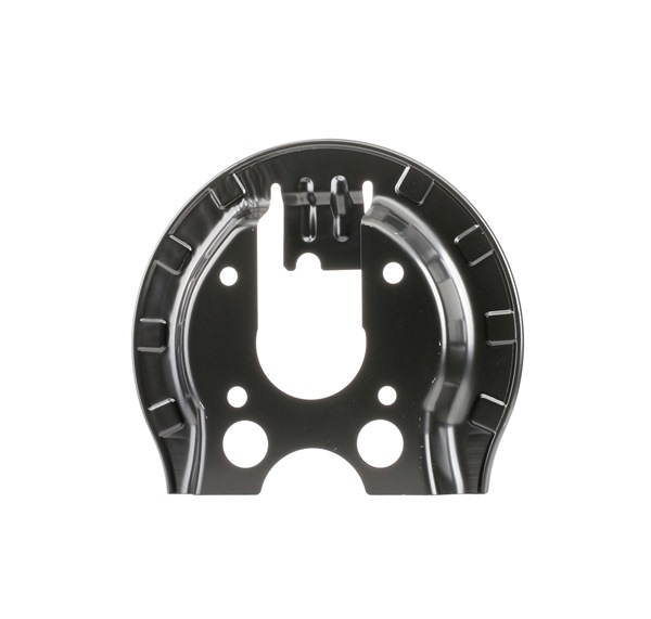 15801058 RIDEX 1330S0183 Bremseskjold CITROЁN pris bak og foran