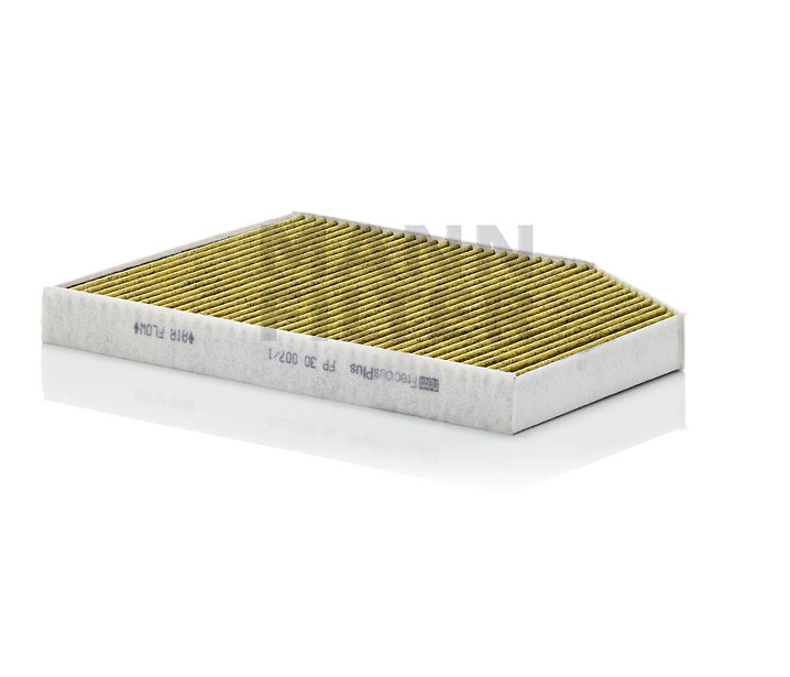 15802053 MANN-FILTER FP300071 Kupefilter 3 Touring (G21) hva koster
