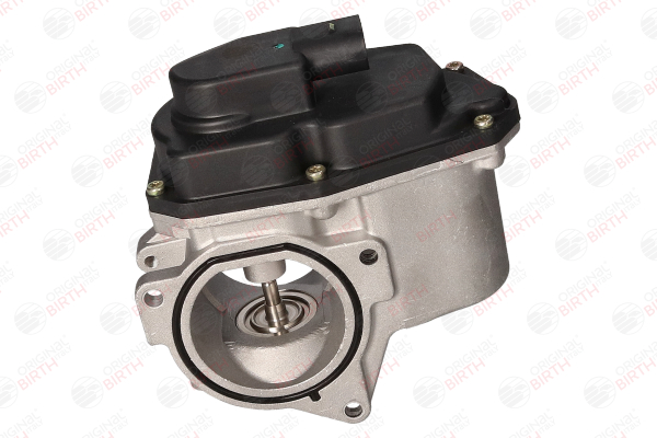 EGR BIRTH 90027