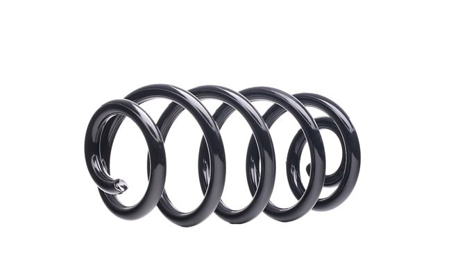 16075043 DACO Germany 810240 genuine A6 C6 Coil spring price