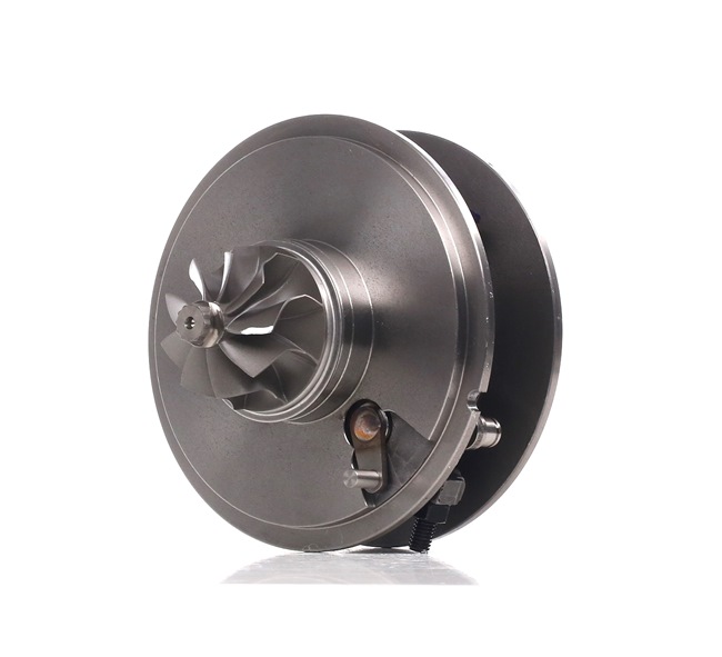 Turbocompresor RIDEX 4973C0079