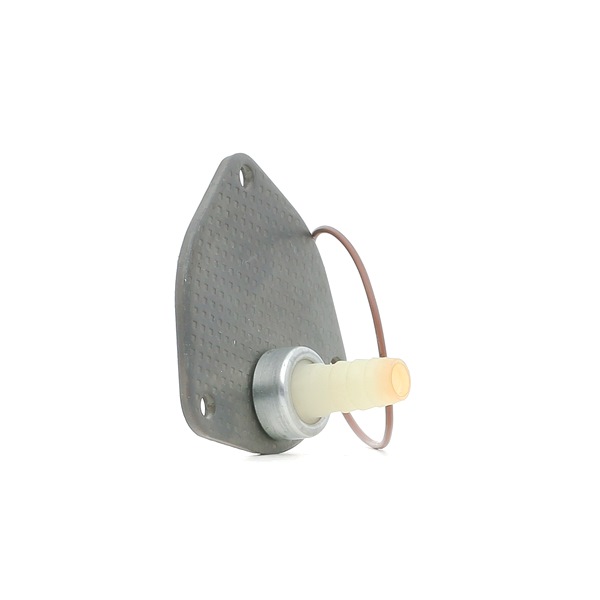 Bremsesystem vakuumpumpe RIDEX 387V0083