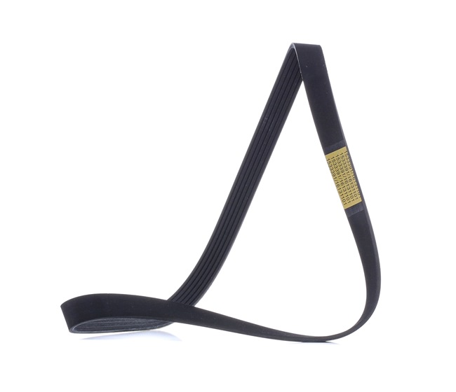 Poly-V-riem RIDEX 305P0480