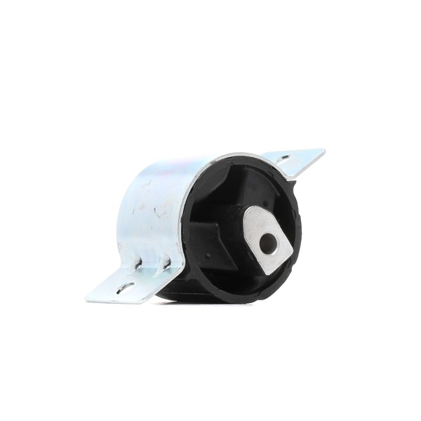 16134071 249M0054 OEM Uložení převodovky RIDEX cena