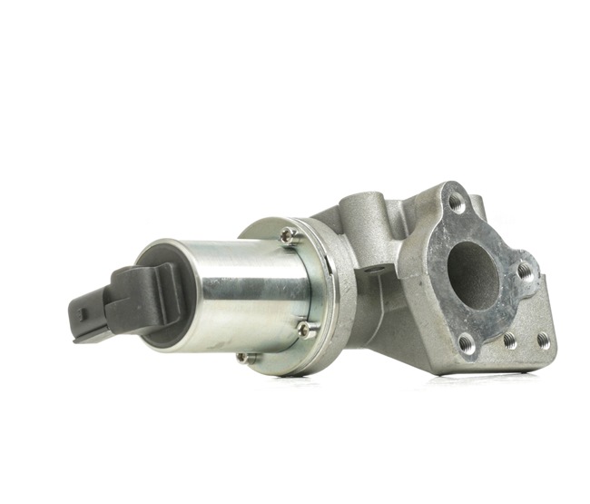 RIDEX 1145E0270 AGR-Ventil