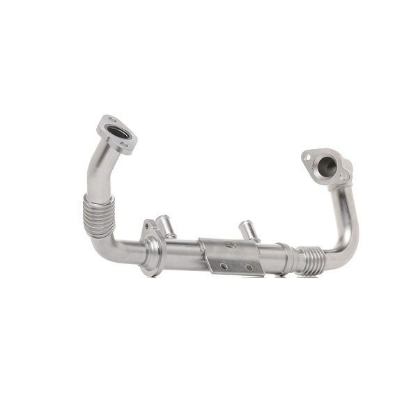 RIDEX 4198E0021 ЕГР модул