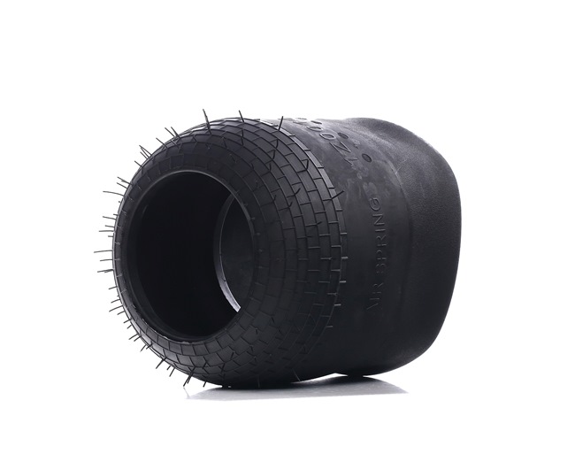 Légrugó A0003200321 RIDEX 4119A0059
