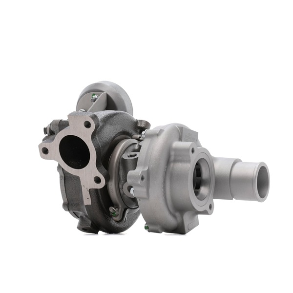 Turbocompresor RIDEX REMAN 2234C10217R