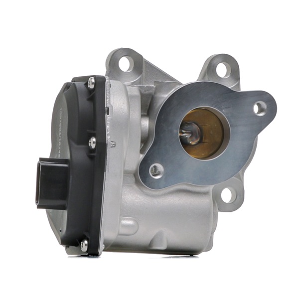 RIDEX 4198E0049 Módulo RGE (recirculação dos gases de escape)
