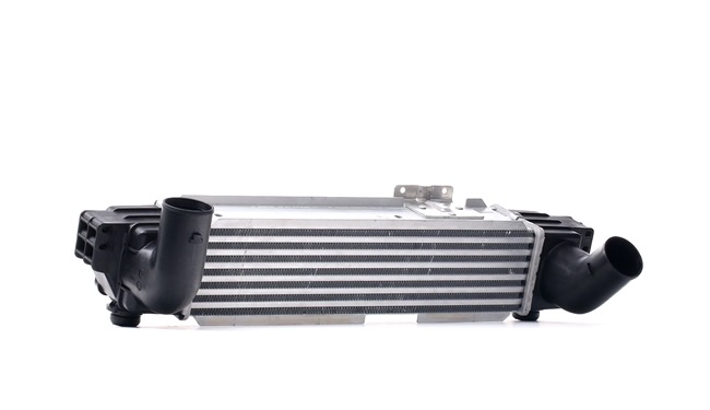 RIDEX 468I0193 Ladeluftkühler