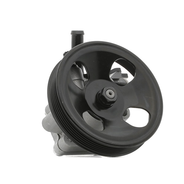 Servopumpe 12H0273 RIDEX 5710026100 HYUNDAI, KIA
