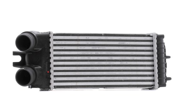 16151103 RIDEX 468I0311 Intercooler Peugeot Partner Van preço