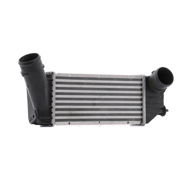 RIDEX 468I0325 Ladeluftkühler