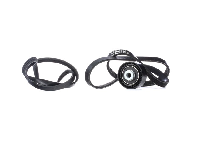 Kit cinghia servizi RIDEX 542R0583