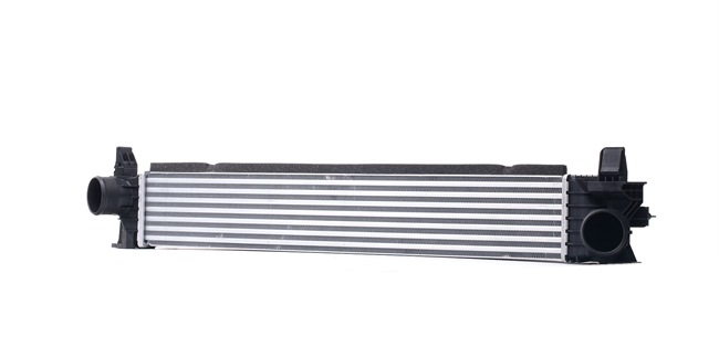 RIDEX 468I0343 Ladeluftkühler