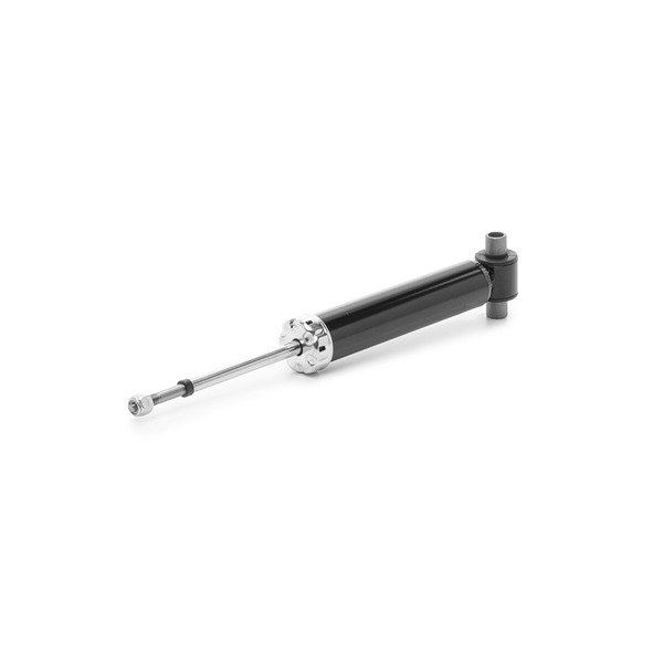 Amortizor RIDEX 854S17955