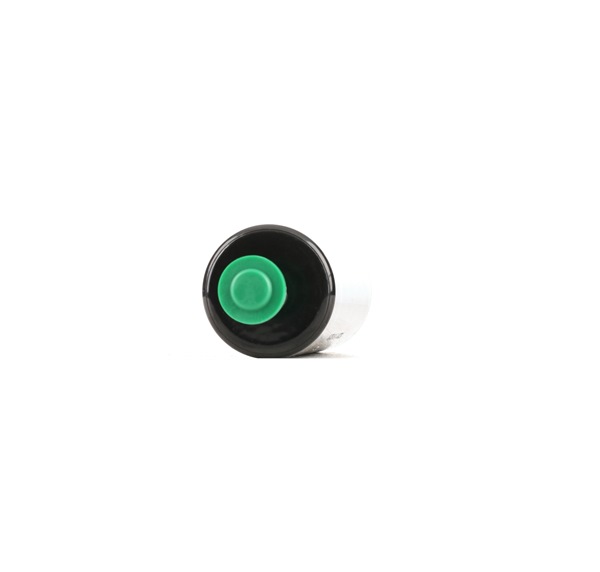 RIDEX 458F13811 Kraftstoffpumpe