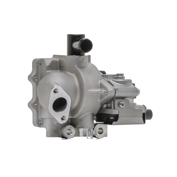 RIDEX 4198E0065 ЕГР модул
