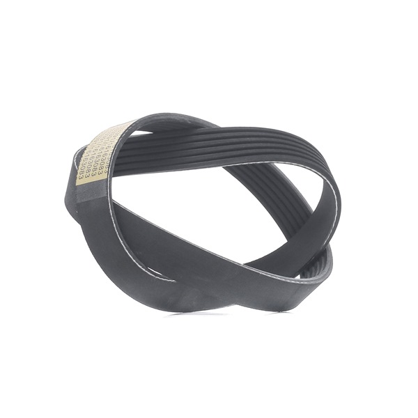 RIDEX 305P0487 Ozubený klínový řemen