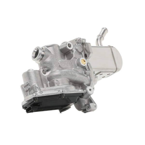 RIDEX 4198E0066 Module-EGR