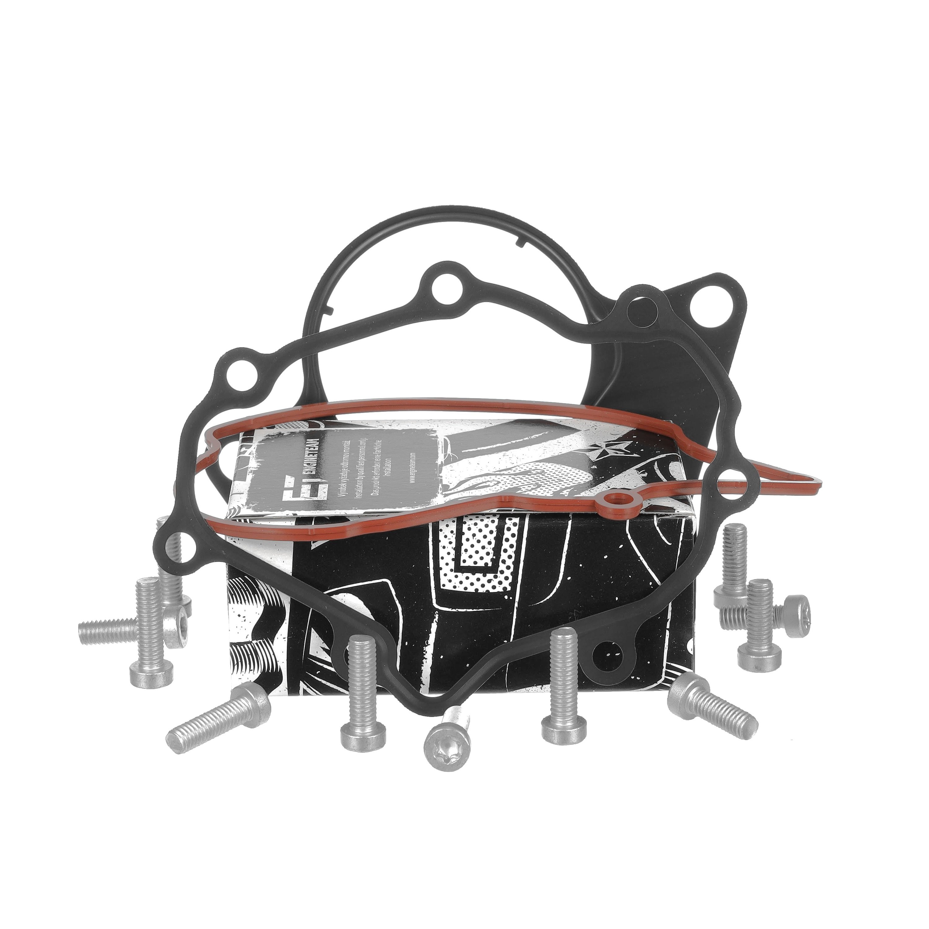 Reparatursatz, Unterdruckpumpe (Bremsanlage) 070 145 209 F ET ENGINETEAM TM0024 VW, AUDI, SKODA, SEAT, PORSCHE