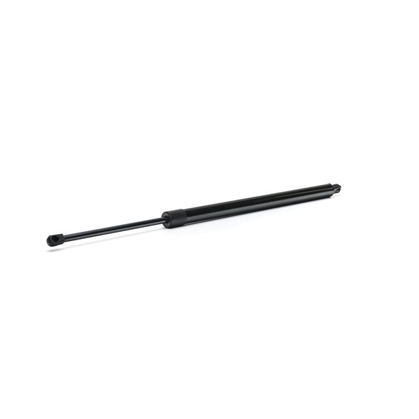 RIDEX 219G0981 Heckklappendämpfer