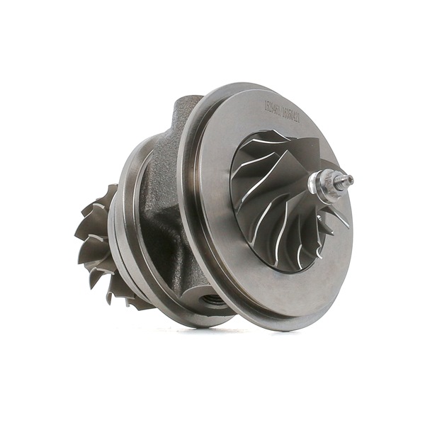 Turboaggregat RIDEX 4973C0104