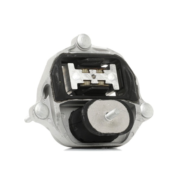 16361820 RIDEX 310T0443 Rolă întinzătoare curea accesorii Mini F56 preț