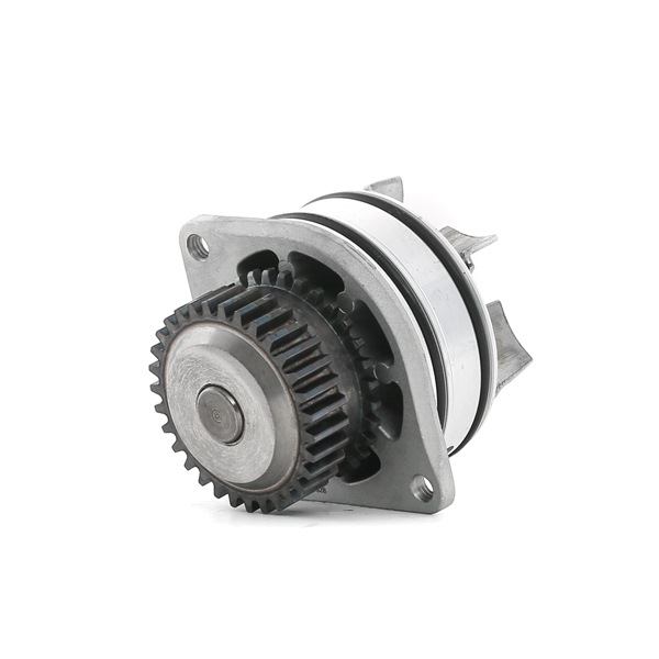 Wasserpumpe B1010JK20A RIDEX 1260W0480 MAZDA, NISSAN, INFINITI