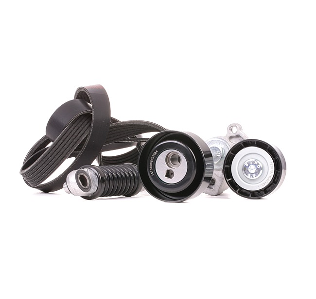 Multiriem set RIDEX 542R0639