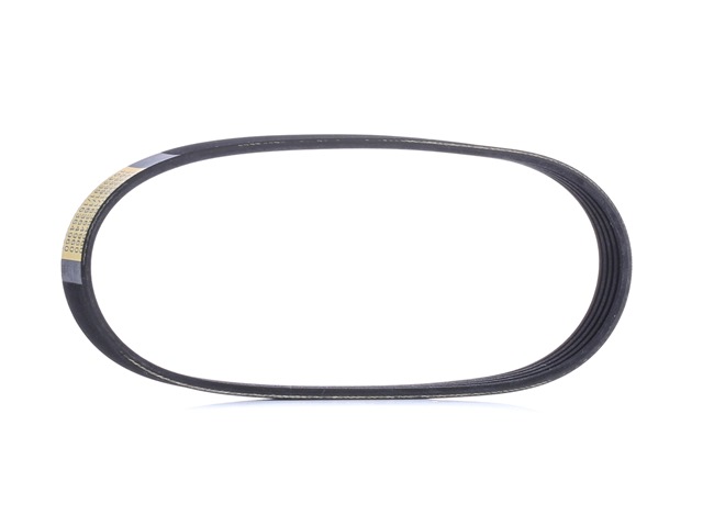Poly-V-riem RIDEX 305P0498