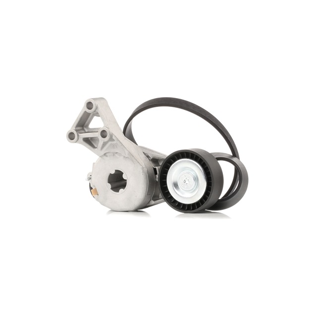 Kit cinghie poly-v STARK SKRBS-1200648