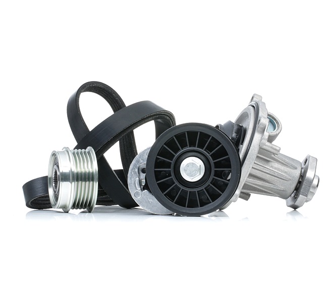 RIDEX 4172P0068 Wasserpumpe + Keilrippenriemensatz