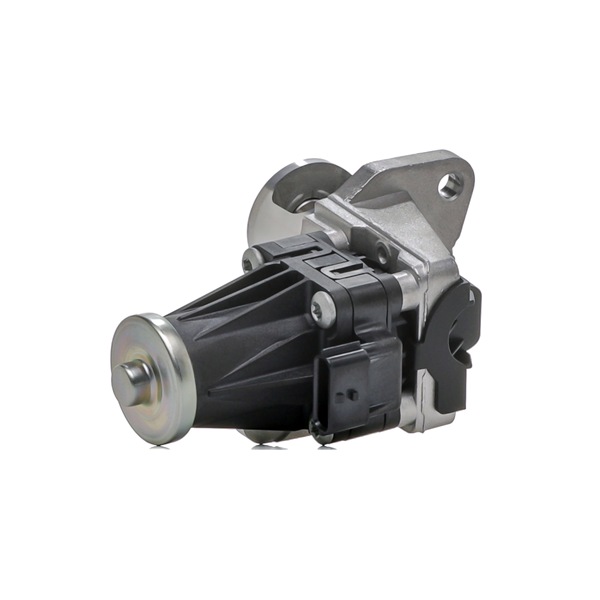 RIDEX 4198E0091 Module-EGR