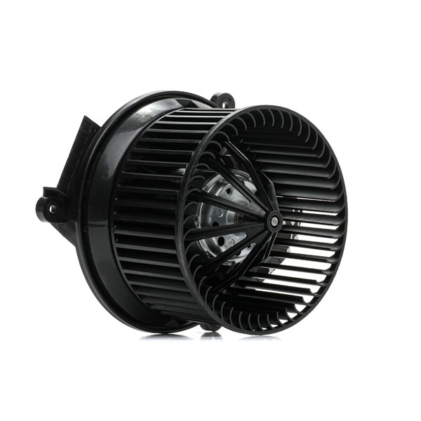 Innenraumgebläse 2669I0258 RIDEX E165141 PEUGEOT, VOLVO