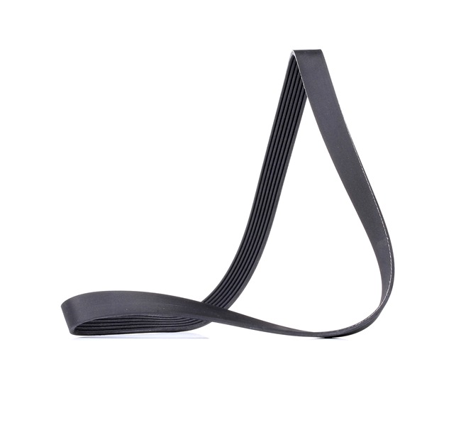 RIDEX 305P0509 Keilrippenriemen