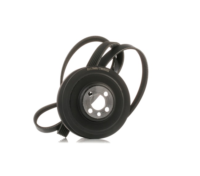 Kit cinghie poly-v STARK SKRBS-1200661