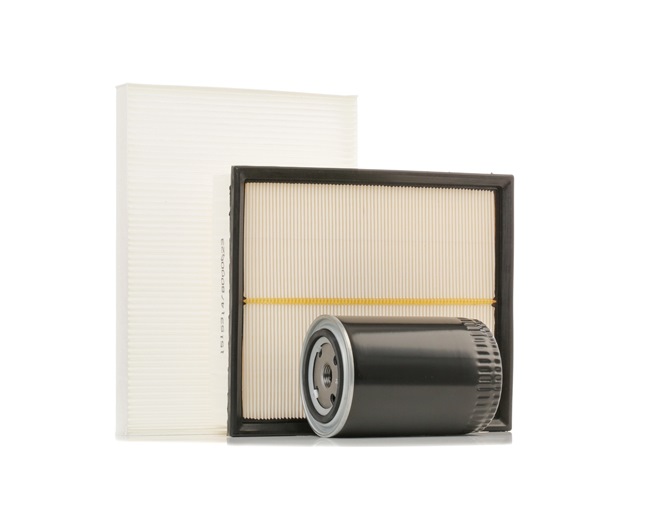 Kit de revisão RIDEX 4055F0250