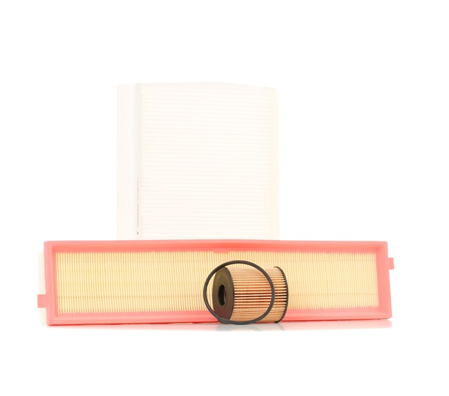 Service kit & filter set RIDEX 4055F0388