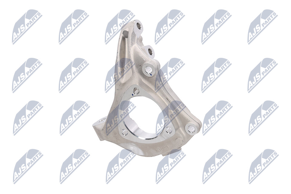 NTY ZZP-DW-003 Achsschenkel