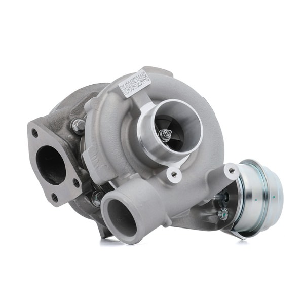 Turbolader 2234C10601 RIDEX 2247691 BMW, FORD