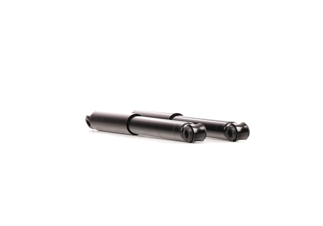 16593333 Stoßdämpfer RIDEX Daihatsu Kosten