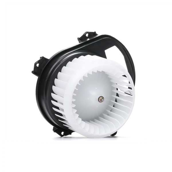 RIDEX 2669I0279 Interieurventilatie