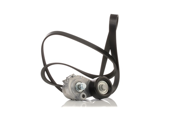 Keilrippenriemensatz 1340275 RIDEX 542R0682 VW, AUDI, BMW, FORD, OPEL
