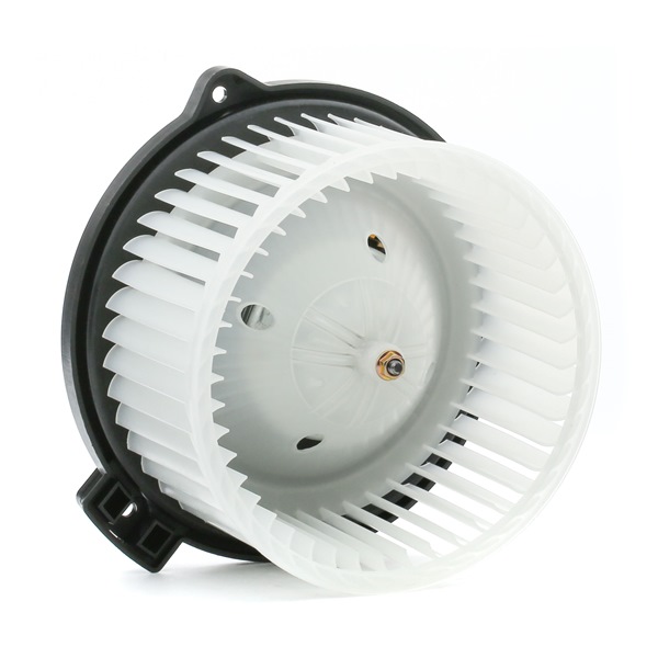 Dmuchawa RIDEX 2669I0296