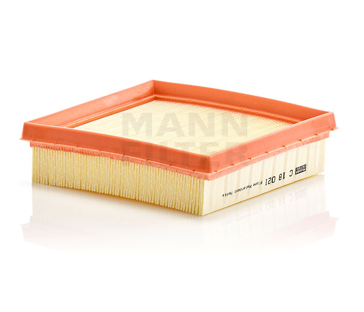 16598202 MANN-FILTER C18021 Luftfilter LEXUS UX 2018 hva koster