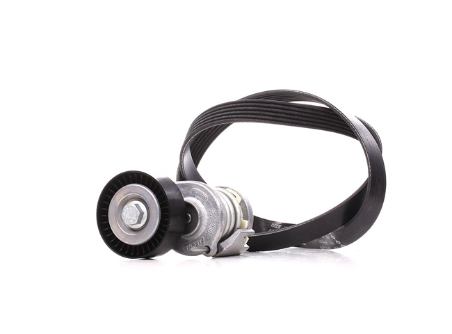SKF Jeu De Courroies Trapézoïdales à Nervures VKMA 31207