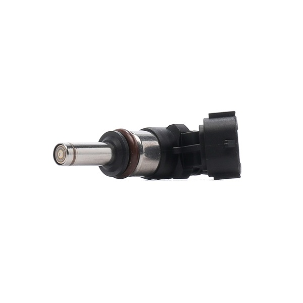 Borsehung B11157 Einspritzventil