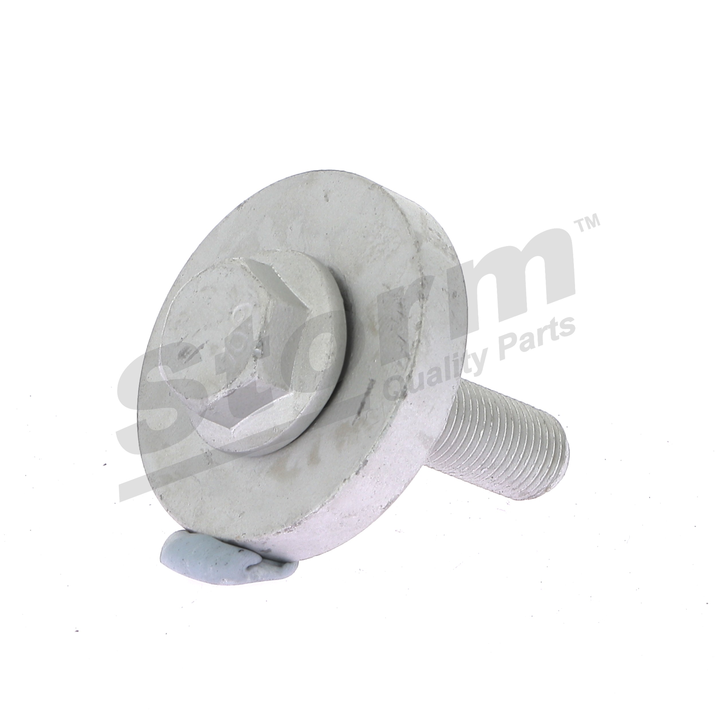 STORM QUALITY PARTS 87189KIT Riemenscheibenschraube RENAULT CLIO 1.4 16V 98 PS Benzin